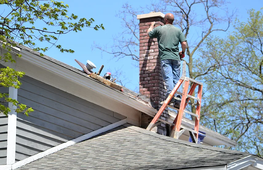 Chimney & Fireplace Inspections Services in Starkville, MS